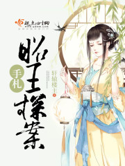 昭王探案手札章节列表