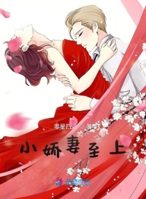 小娇妻至上章节列表