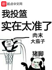 我投篮实在太准了章节列表