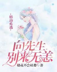 婚劫难逃：向先生，别来无恙章节列表