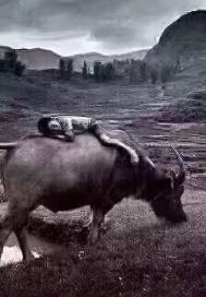 三十年变迁录章节列表