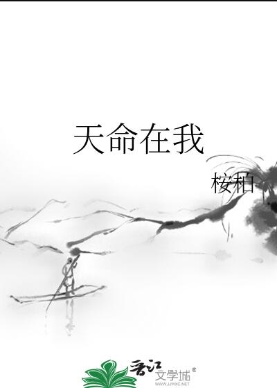 天命在我章节列表