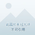 未来一亿年章节列表