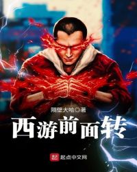 西游前面转章节列表