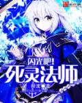 闪光吧！死灵法师章节列表