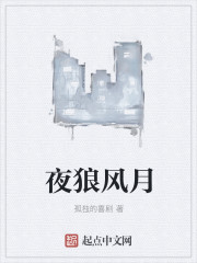 风之迷途章节列表