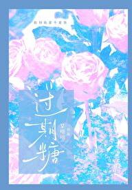 过期糖章节列表