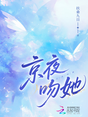 京夜吻她章节列表