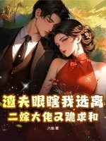 渣夫眼瞎我选离，二嫁大佬又跪求和章节列表