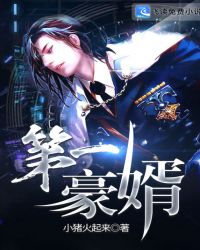 第一豪婿章节列表