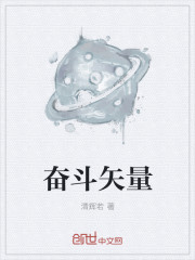 奋斗矢量章节列表