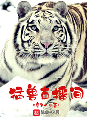 刘伟猛兽直播间(廖不十)章节列表