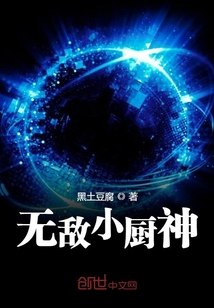 无敌小厨神章节列表