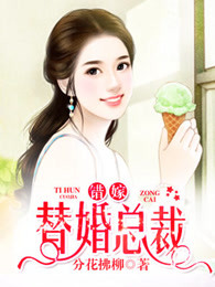 我们相爱吧：错嫁替婚总裁章节列表