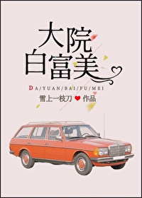 七零大院白富美章节列表