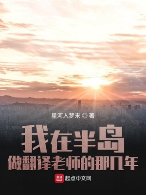 我在半岛做翻译老师的那几年章节列表