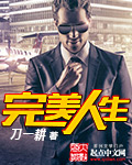 完美人生章节列表