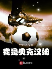我是贝克汉姆章节列表